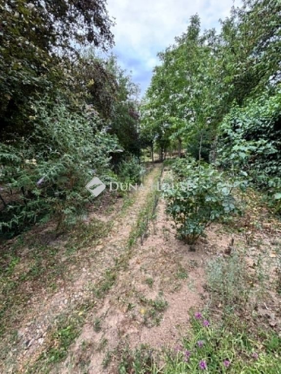 3 bed · 73m² · Családi ház · 66.000.000 ft