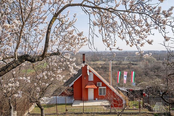 3 bed · 138m² · Családi ház · 105.000.000 ft