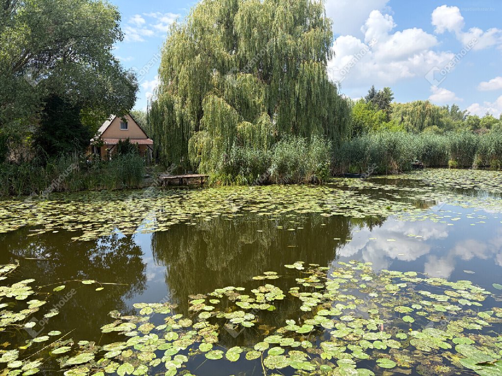 4 bed · 120m² · Családi ház · 47.990.000 ft