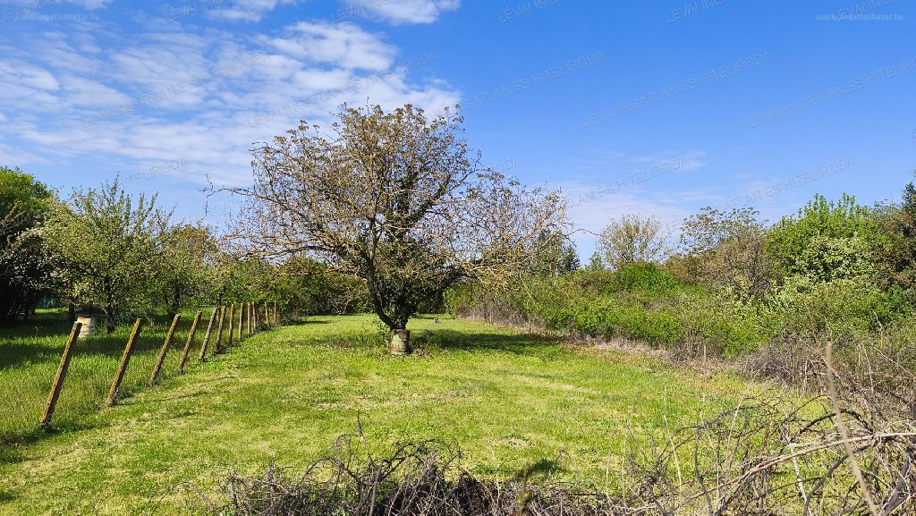 806m² · Családi ház · 4.400.000 ft