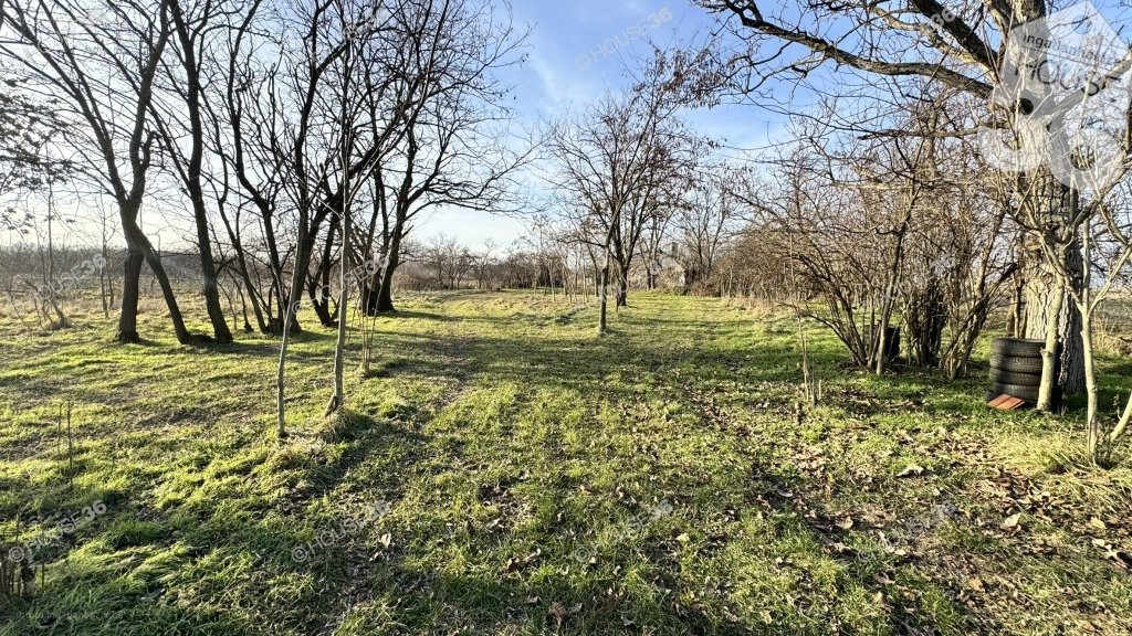1 bed · 50m² · Családi ház · 6.990.000 ft