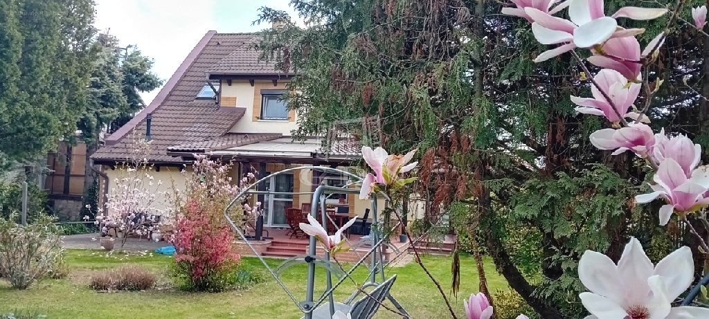 5 bed · 165m² · Családi ház · 153.800.000 ft