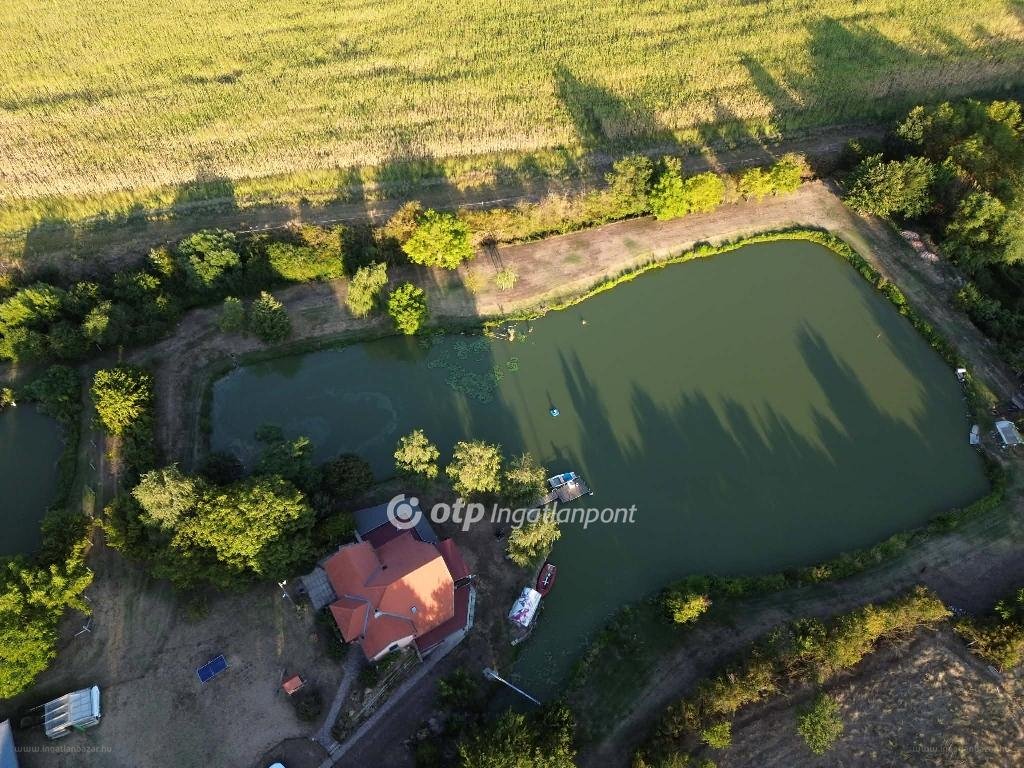 Ház · 5 hálószoba · 154 m² · 300.000.000 Ft
