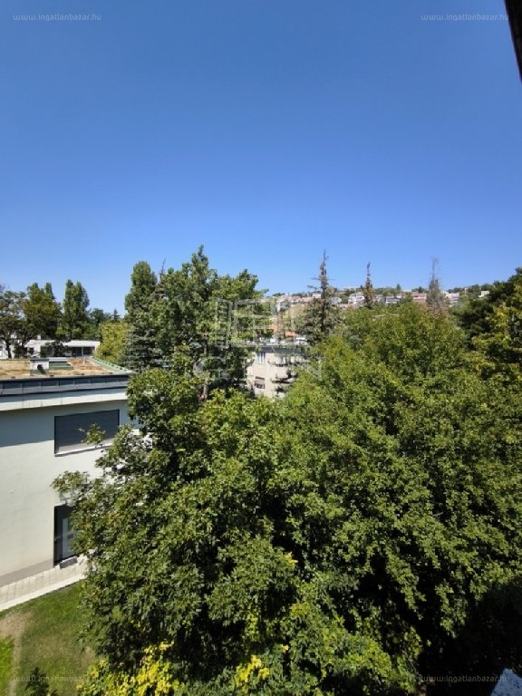 7 bed · 555m² · Ház · 739.000.000 ft