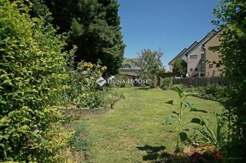 7 bed · 253m² · Családi ház · 350.000.000 ft